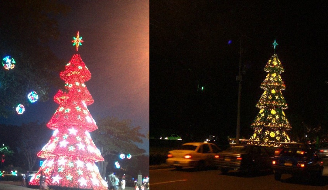Traslado navidad Norte de Santander: Tradicional árbol de navidad en el malecón de Cúcuta podría ser trasladado