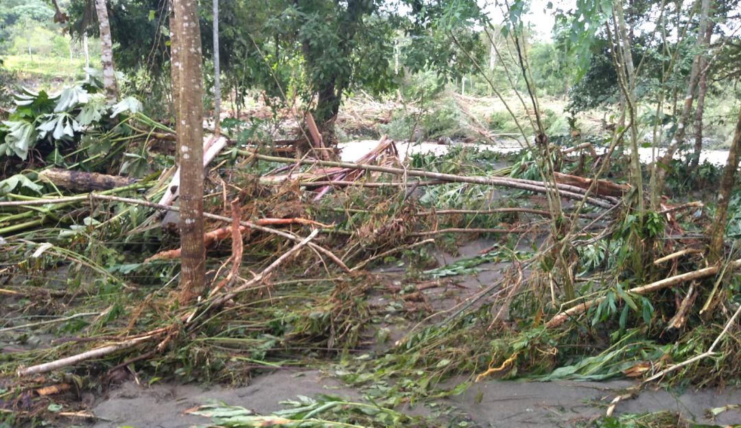 Inundaciones Vigía del Fuerte desbordamiento del río: El desbordamiento de un río afectó a 1. 200 personas en Vigía del Fuerte