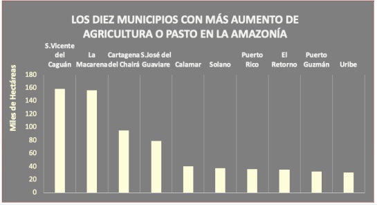 Agricultura en Amazonía: En Amazonía agricultura y ganadería creció 45% durante los últimos 18 años Agricultura en Amazonía: En Amazonía agricultura y ganadería creció 45% durante los últimos 18 años