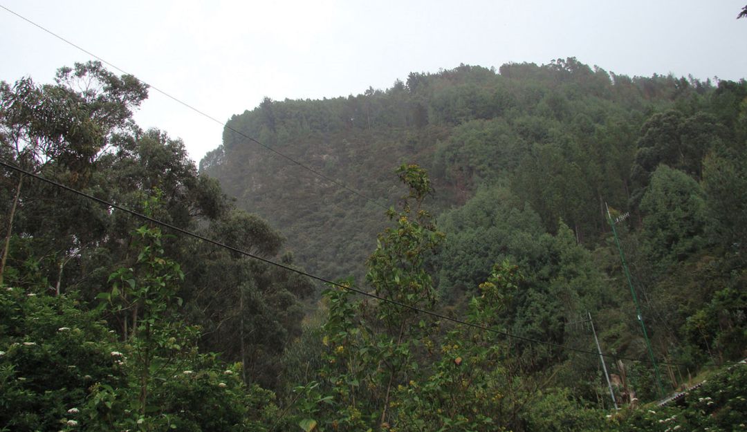 Acueducto Bogotá coronavirus: Acueducto suspendió recorridos y visitas a senderos ecológicos