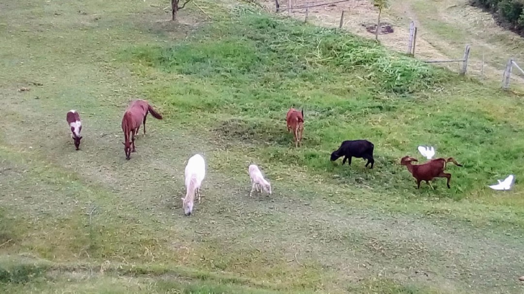 Dignidad Agropecuaria apoya moción de censura contra MinAgricultura