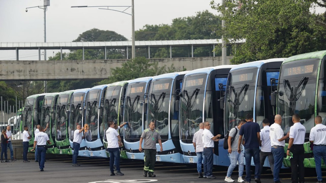 Nueva línea de buses en Medellín tendrá espacios exclusivos para mascotas