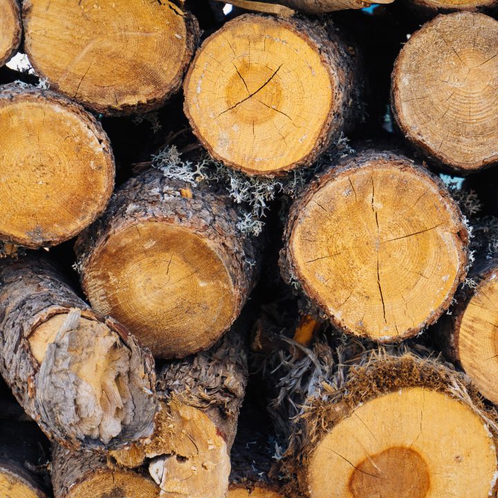 80 jóvenes recibirán tecnología para enseñar a prevenir la deforestación