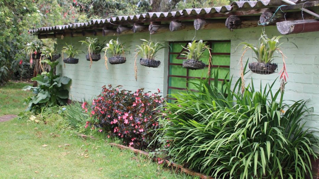 Recursos del Banquete del Millón serán para vivienda campesina