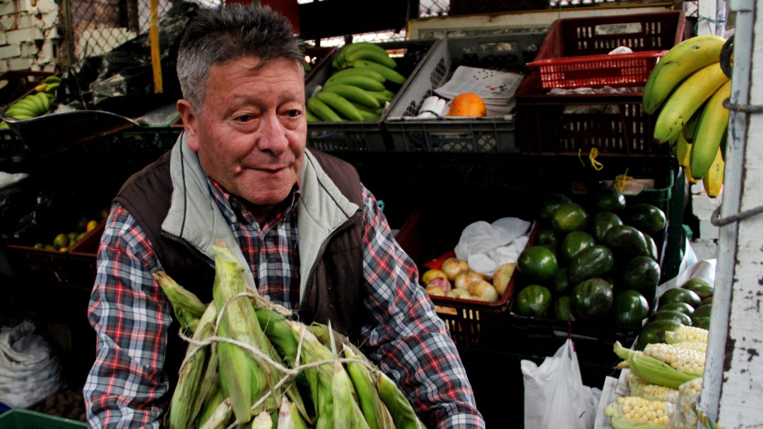 Las lluvias adelantan cosechas y bajan precios de algunos alimentos