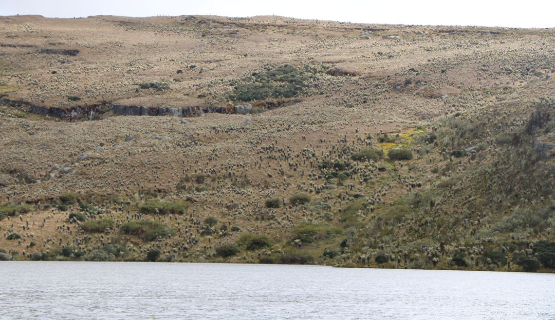 Profesor desapareció en aguas del río Sumapaz