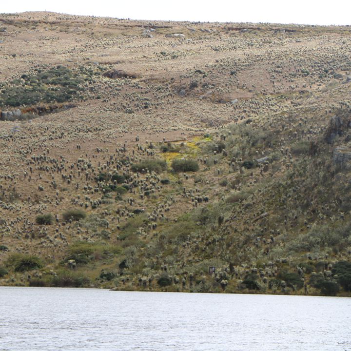 Profesor desapareció en aguas del río Sumapaz