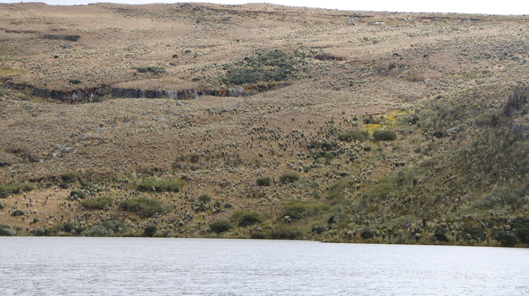Profesor desapareció en aguas del río Sumapaz