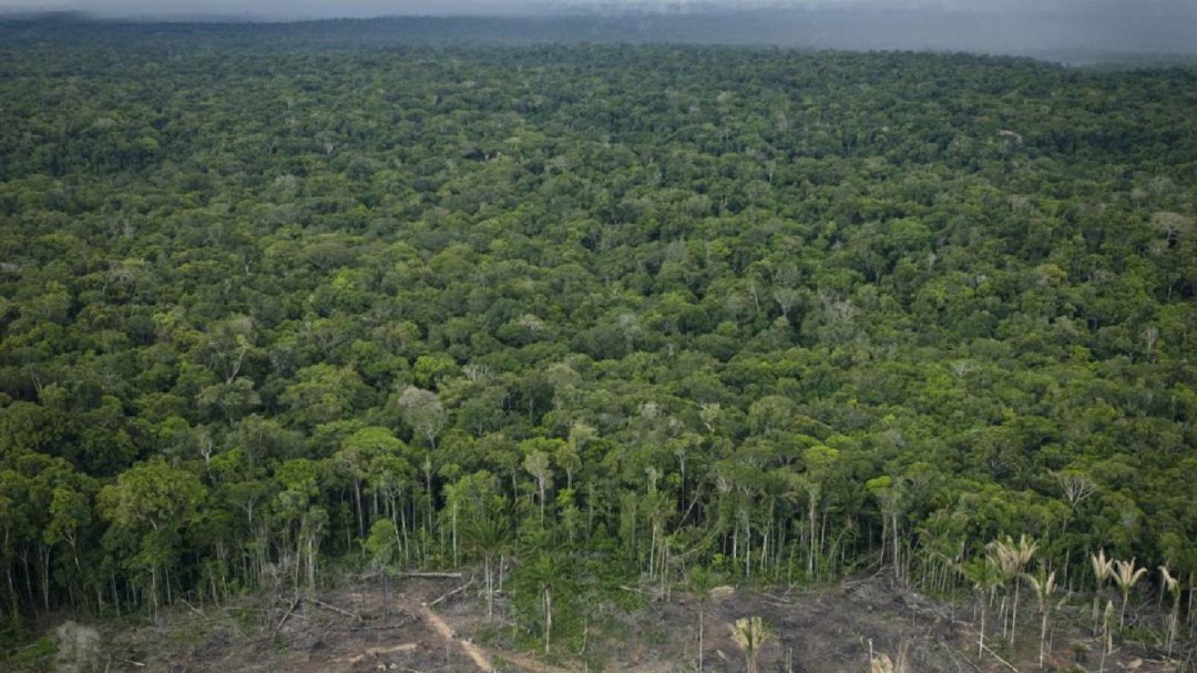 Deforestación en Amazonía brasileña alcanza su mayor nivel en una década