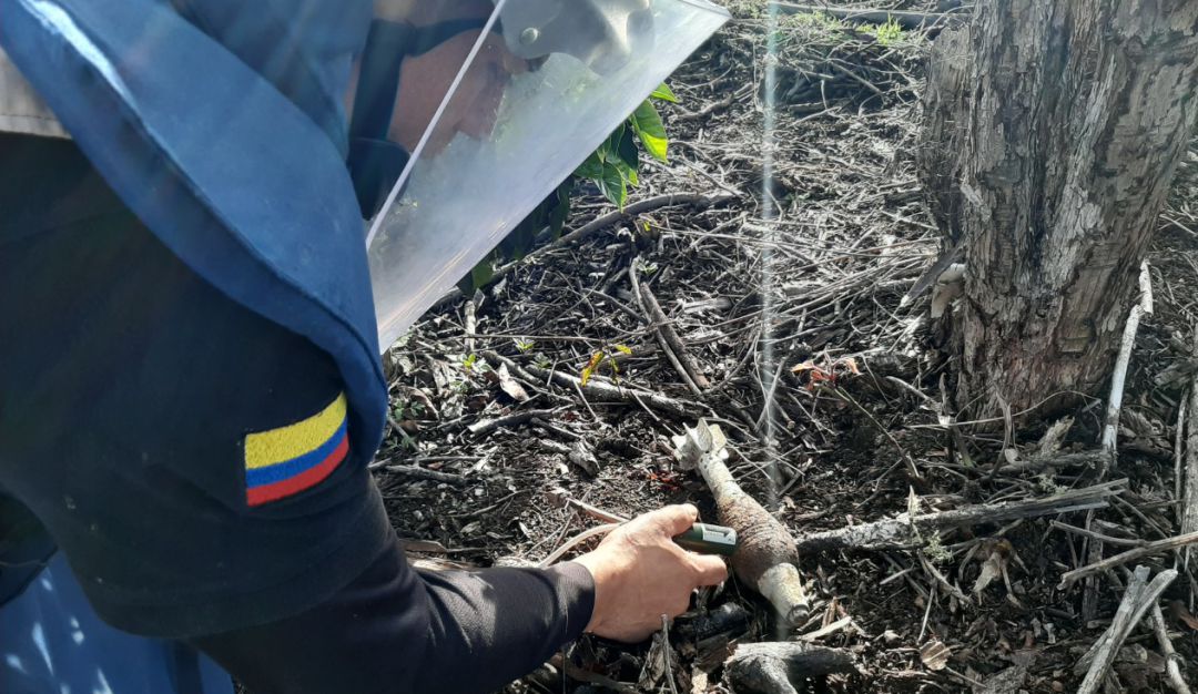 Minas antipersonales en el Huila: En el Huila 12 municipios están libres de contaminación de minas