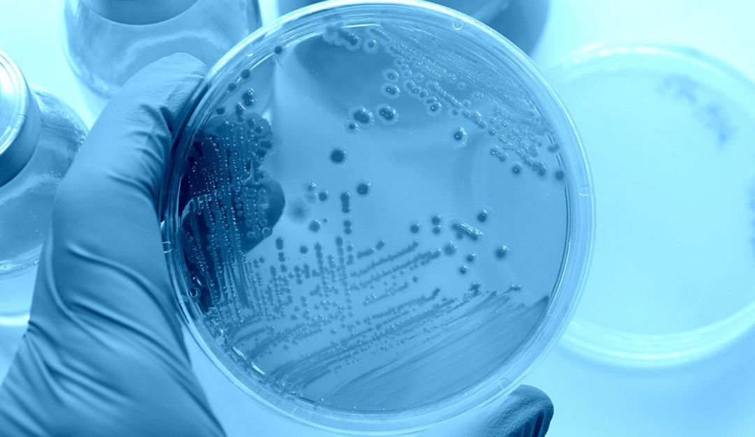 Organización Mundial de la Salud, resistencia bacteriana, antibióticos: La resistencia bacteriana mata 700 mil personas anualmente en el mundo