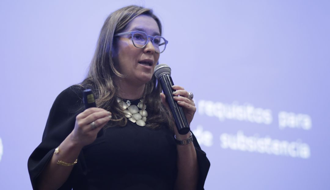 Ministerio de Minas Operación Energética: Minminas preocupada por demoras en la operación de proyectos eléctricos