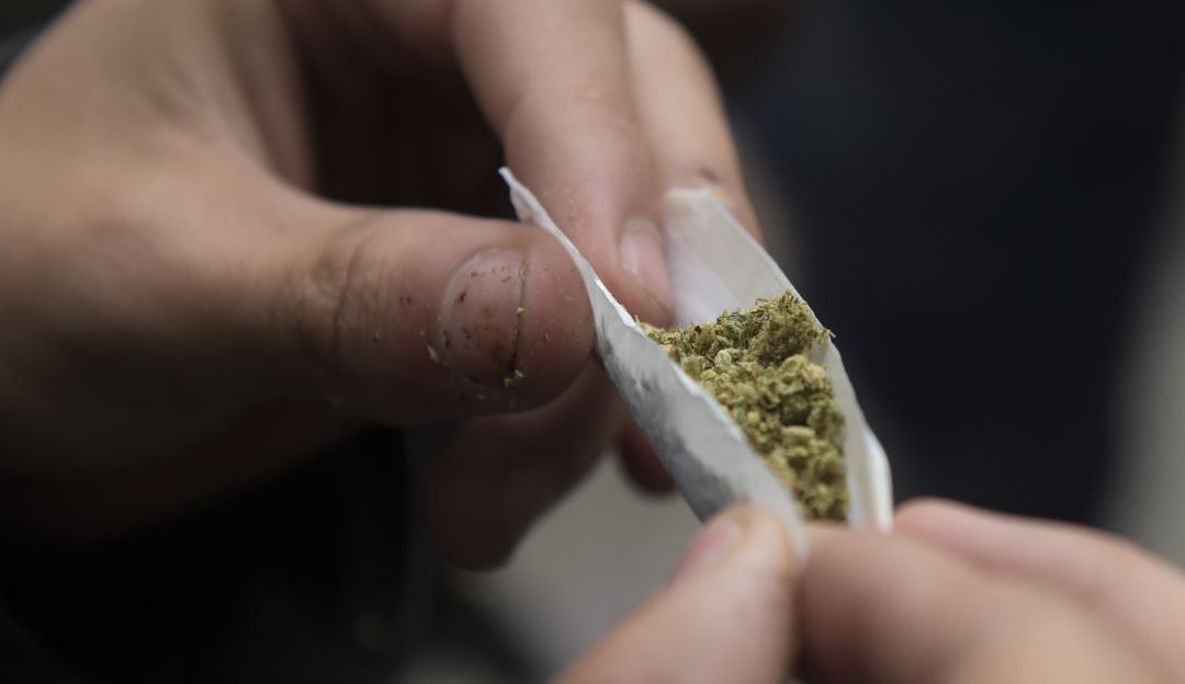 Regulación de la marihuana en Colombia: Se hundió regulación de marihuana con fines recreativos