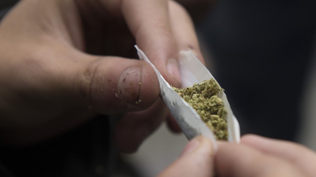 Se hundió regulación de marihuana con fines recreativos