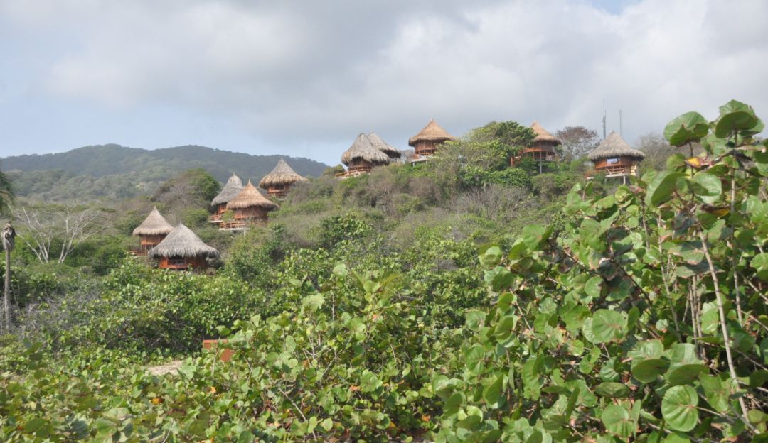 Parque Tayrona: Parques Nacionales asumirá operación ecoturística del Parque Tayrona