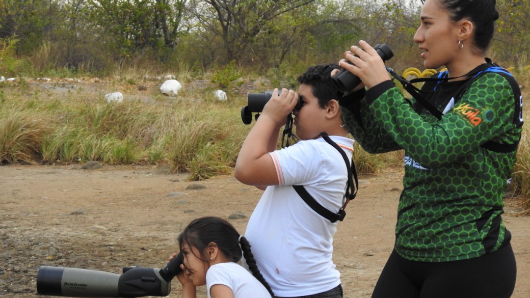 Avistamiento de aves, educación para preservar la fauna