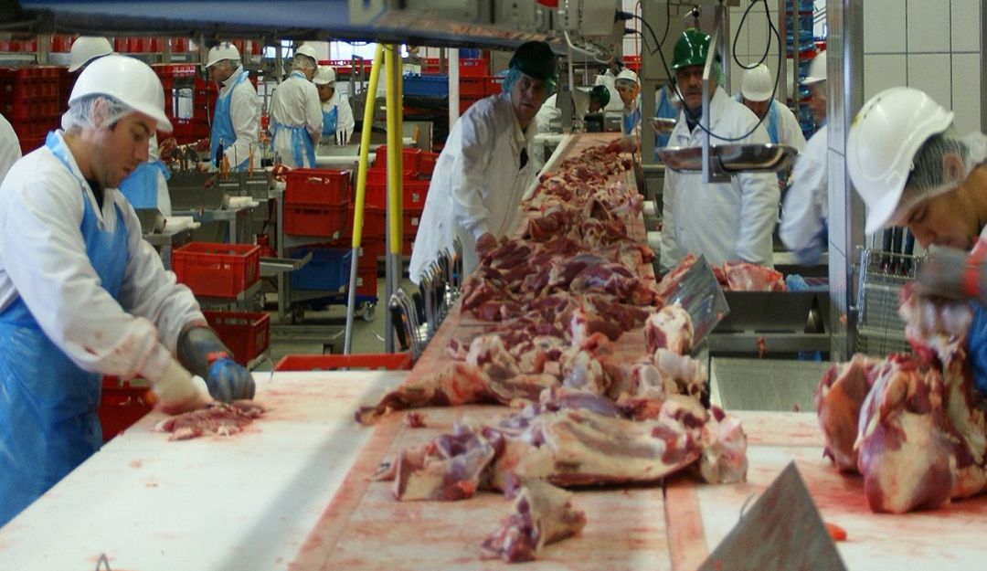 Arabia Saudita, Córdoba, carne, res, Frigosinú, Red Cárnica: Arabia Saudita abre sus puertas a la carne de res cordobesa