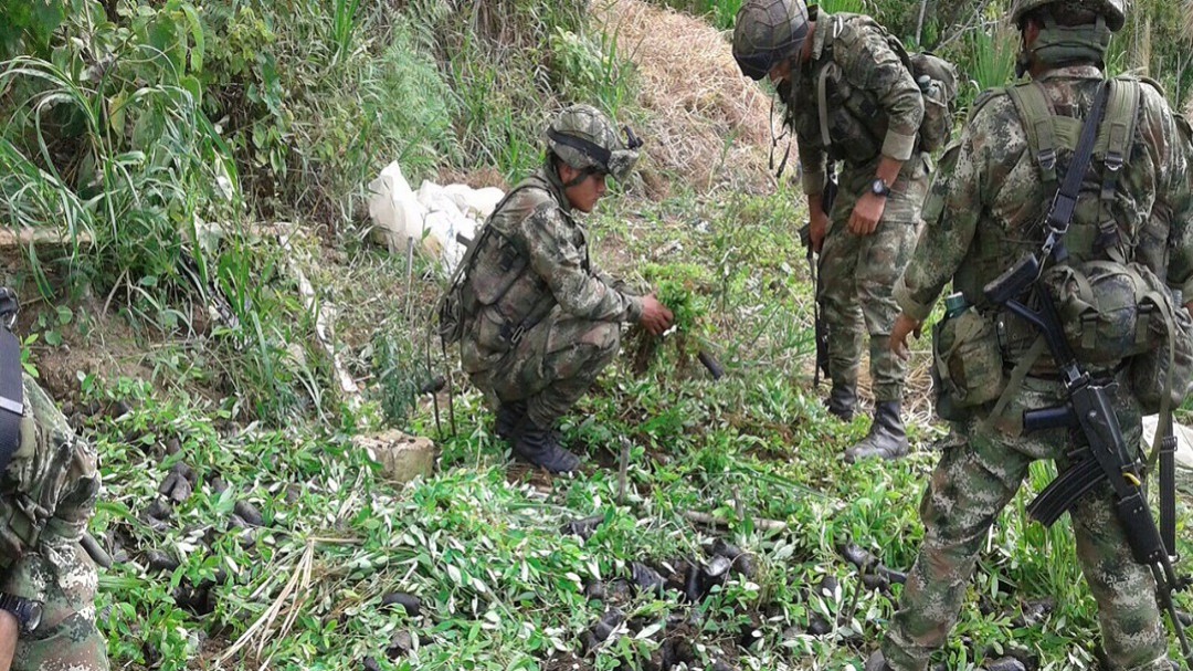 "Es preferible que erradicación de la coca se tome un tiempo": Gobernadora