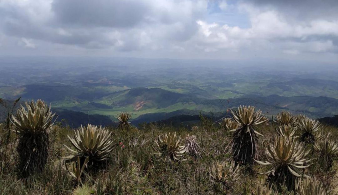 Ecoturismo, Aplicaciones, Corpoboyacá, Sena: Corpoboyacá y Sena lanzan aplicación a favor del Ecoturismo