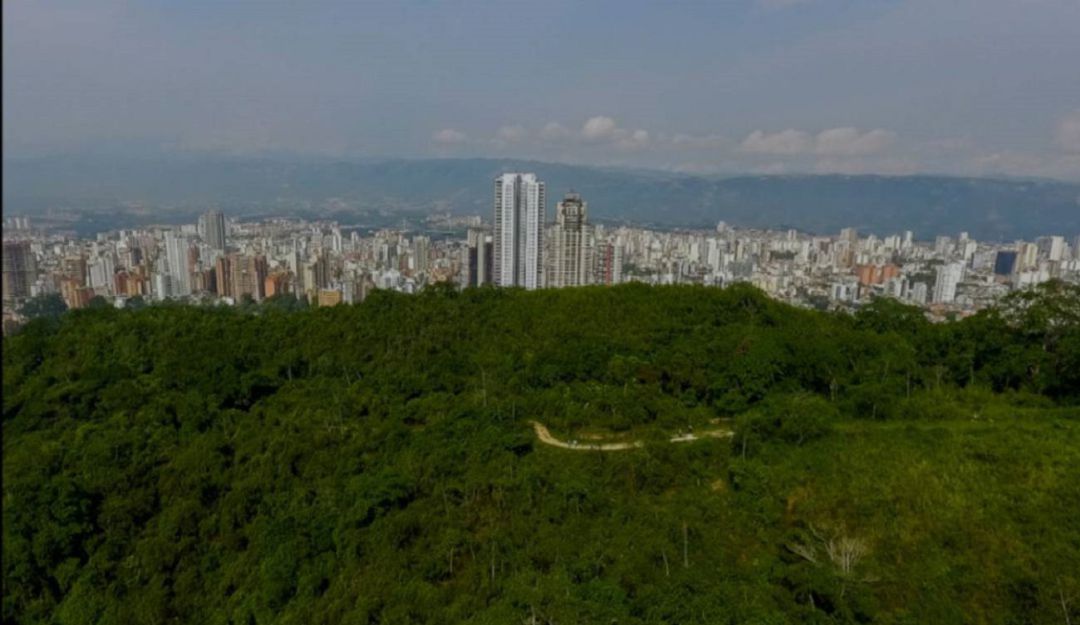 CERROS ORIENTALES EXPERTOS NO HACER PROYECTO LICENCIA AMBIENTAL: Expertos cuestionan proyecto en los cerros orientales