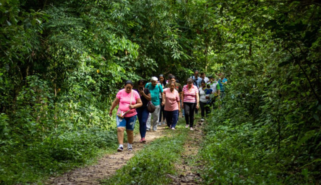 BUCARAMANGA CERROS ORIENTALES PARQUE BOSQUE DE LOS CAMINANTES: Comisión visita cerros orientales donde se planea un parque