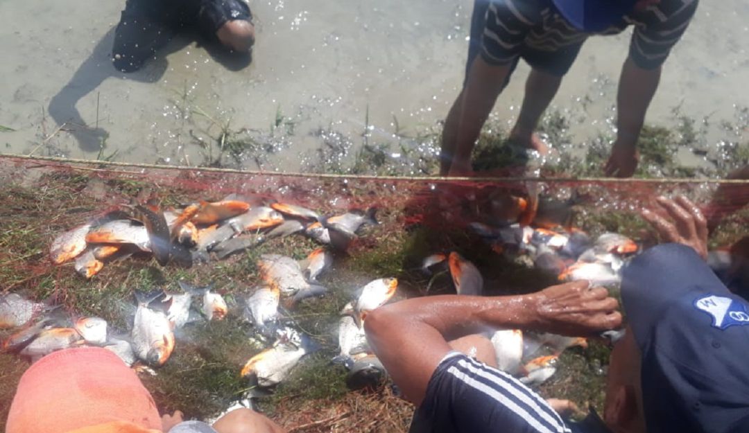 Pesca: Exitosa pesca de 23 familias en Granada después de curso de piscicultura