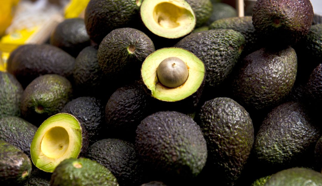 Exportación de Colombia Aguacate Hass: Colombia inicia la exportación de aguacate hass a China