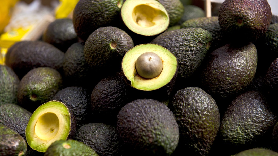 Colombia inicia la exportación de aguacate hass a China