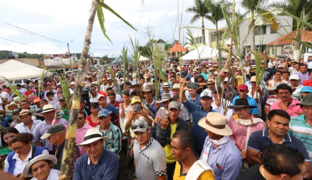 SANCION LEY PANELA RESIDENTE SANTANDER OLLA DEL RIO SUAREZ: Productores celebran sanción de la Ley de la panela
