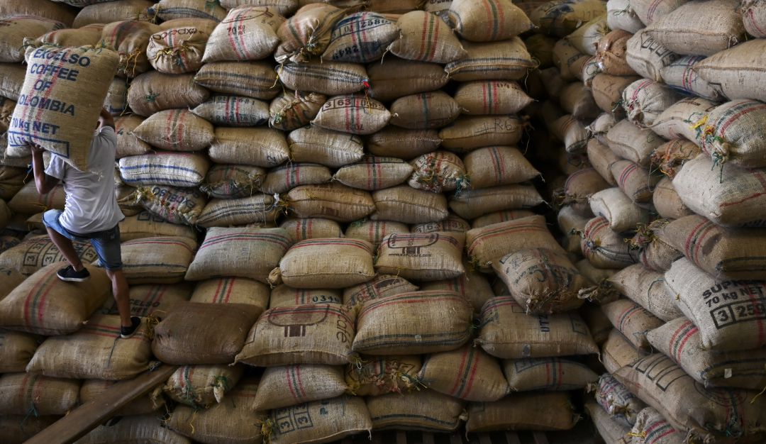 Producción de café en el 2019 fue de 14,8 millones de sacos