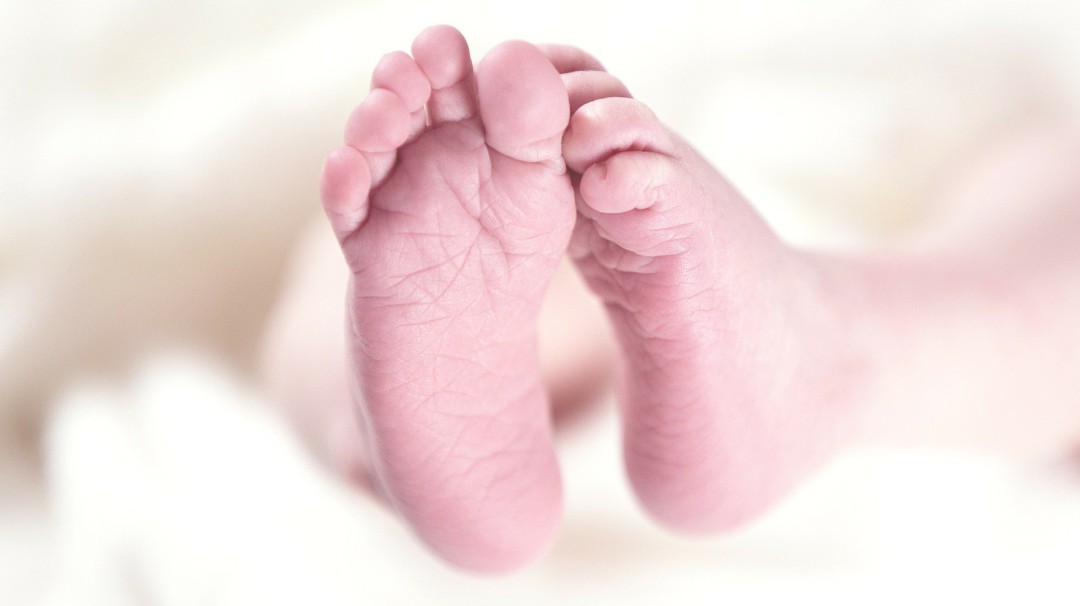 Científicos señalan datos sobre bebés modificados genéticamente en China