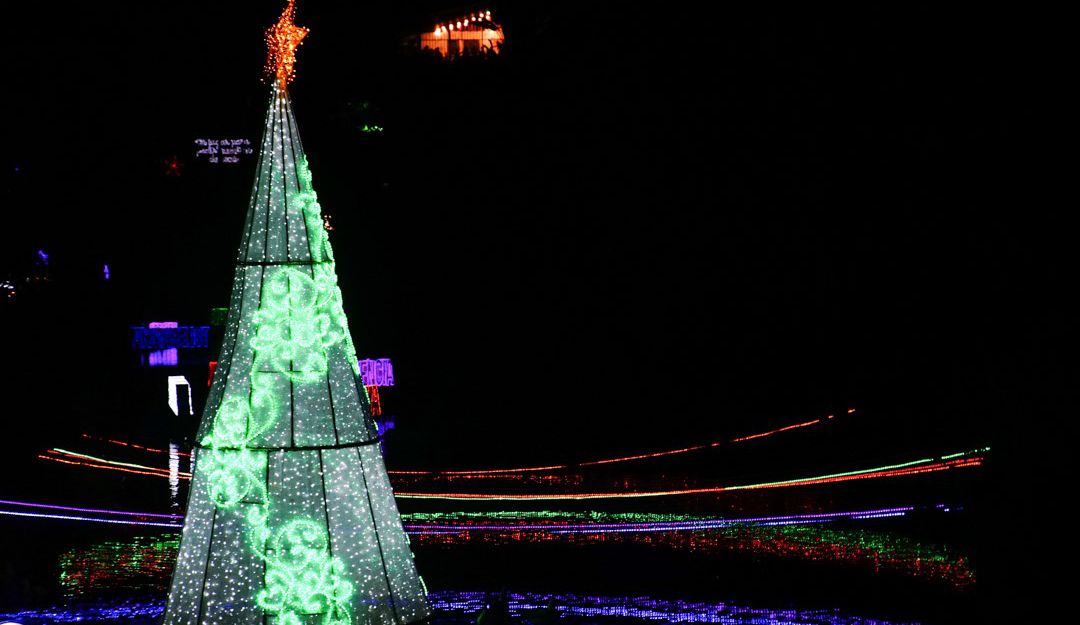 Alumbrado navideño de la Edeq en el Parque de la vida en Armenia