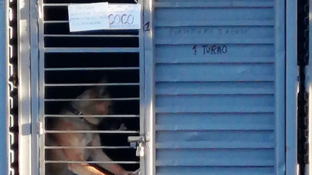 El próximo año no habrá perros de seguridad en TM