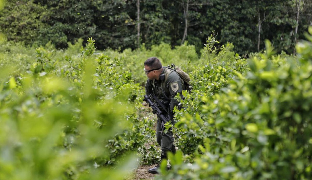 Catatumbo podría tener nuevo paro: Campesinos podrían realizar un nuevo paro