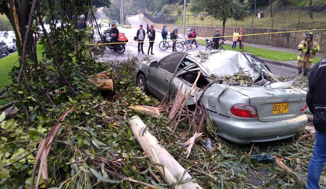 Accidentes por caída de árboles: Cuatro heridos por caída de árbol y poste en el norte de Bogotá