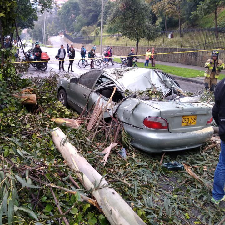 Cuatro heridos por caída de árbol y poste en el norte de Bogotá