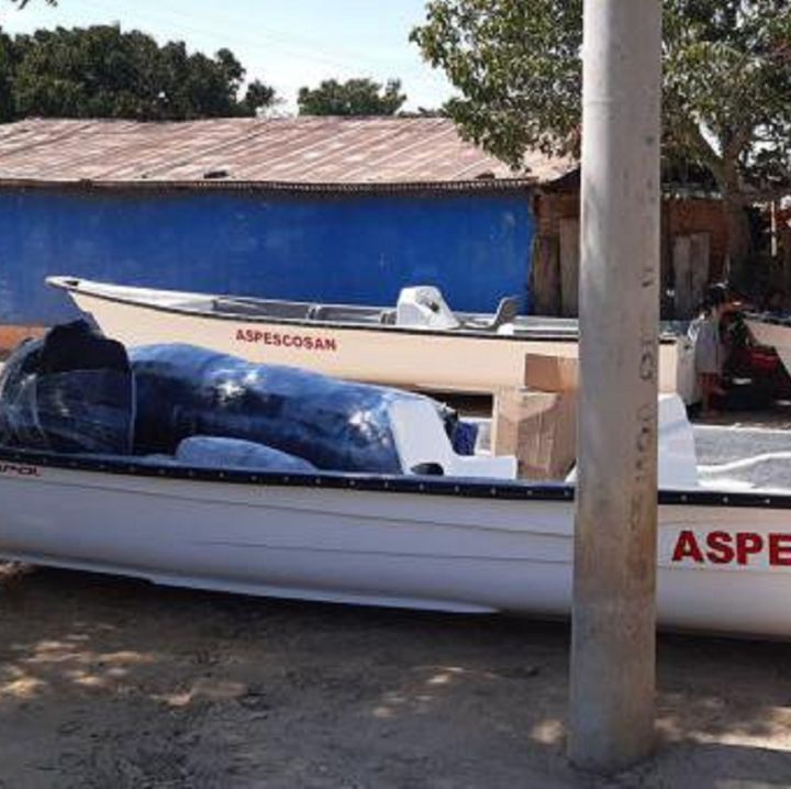 Víctimas del conflicto en Cesar reciben botes para reactivar la pesca