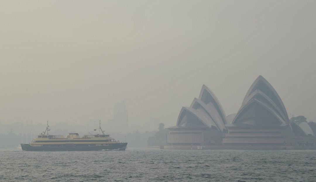 Incendios forestales, Australia, Sidney, Cenizas: Sidney amanece bajo capa de humo y cenizas tras incendios forestales