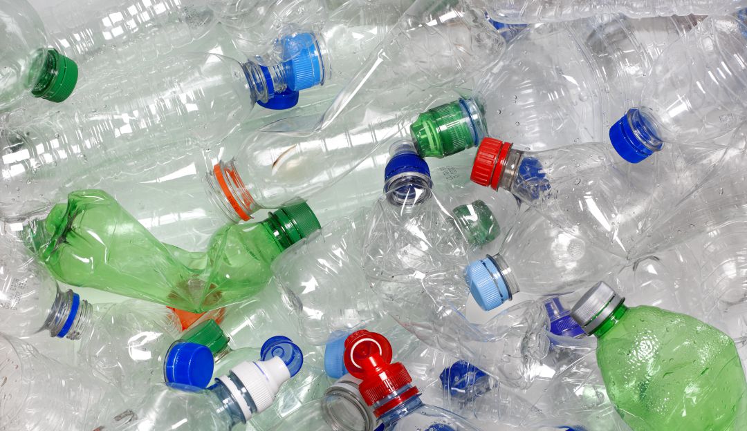 Empresa recicla botellas plásticas y da beneficios a quienes contribuyan: ¡A reciclar! Marcas se unen para dar descuentos