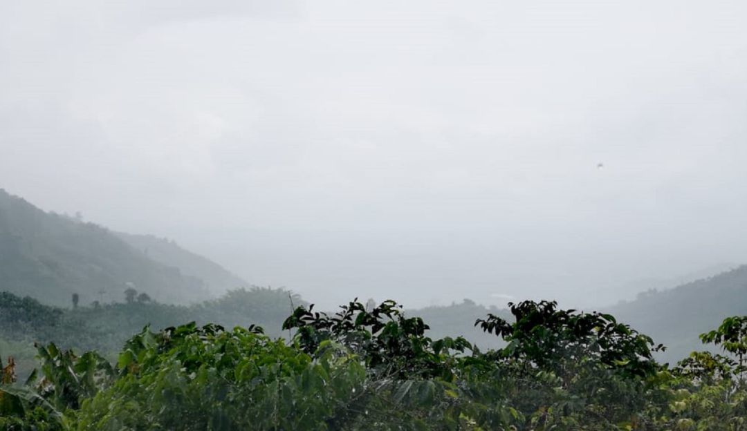 Córdoba Sin Homicidios: 2 años sin homicidios completó el municipio de Córdoba en el Quindío