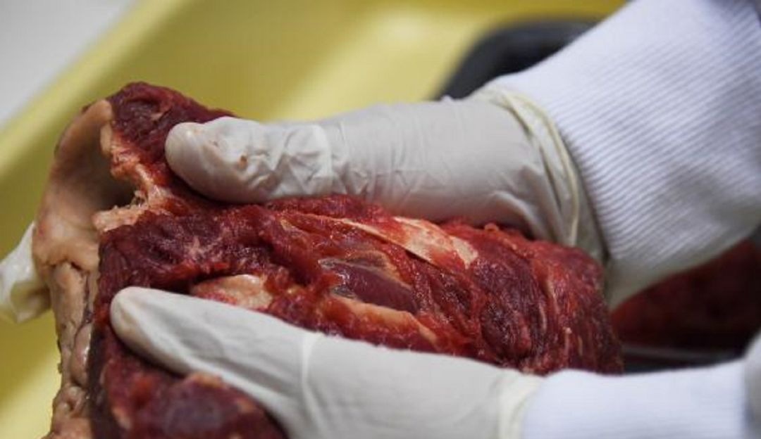 Contrabando de carne: Invima alerta posible ingreso de carne de contrabando