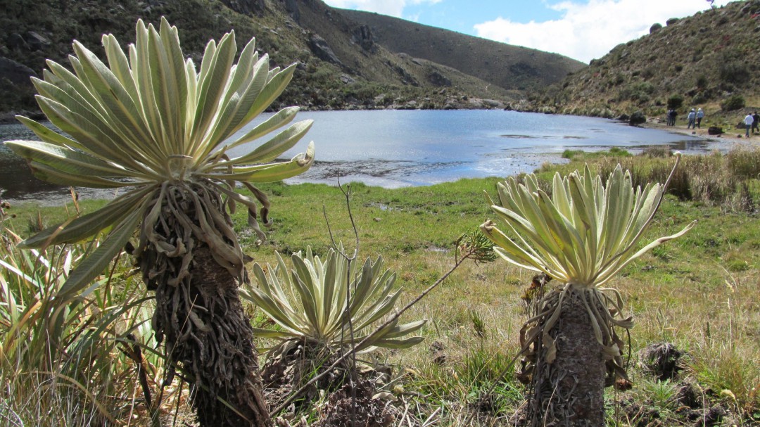 Corpochivor declaran área protegida en suroriente de Boyacá