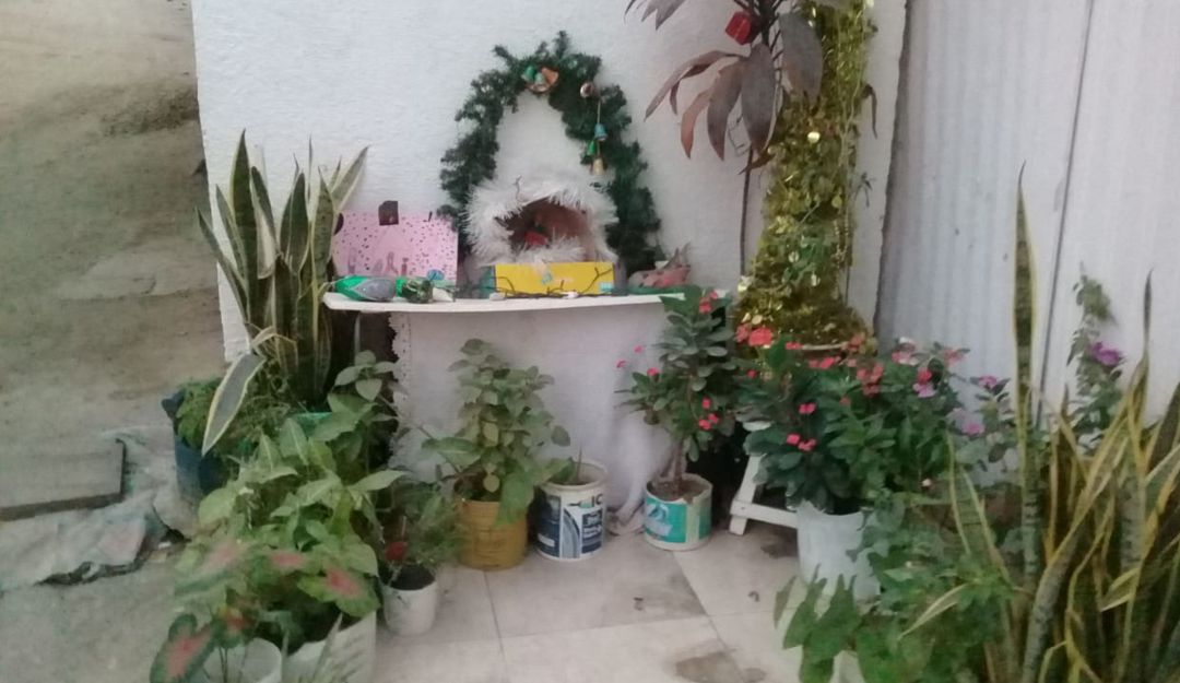 Robo de pesebre: ¡Insólito! Denuncian el robo de un pesebre en Santa Marta