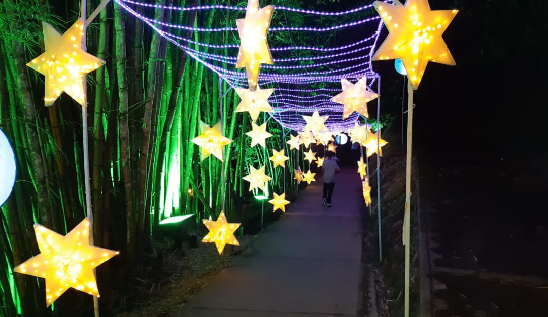Alumbrado navideño en el Parque de la Vida en Armenia