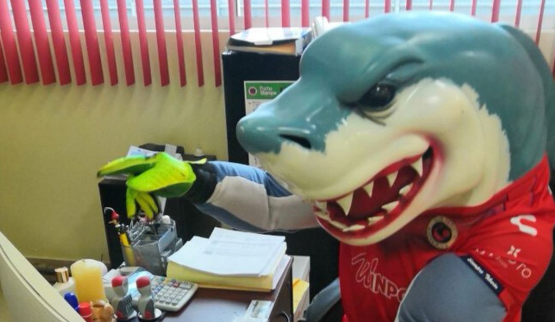 Liga BBVA Bancomer Veracruz Tibu Jarocho: A buscar empleo: La mascota de Veracruz se quedó sin trabajo