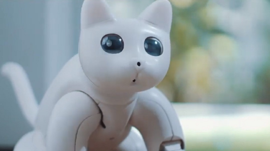 Conozca a 'MarsCat', el adorable gato del futuro