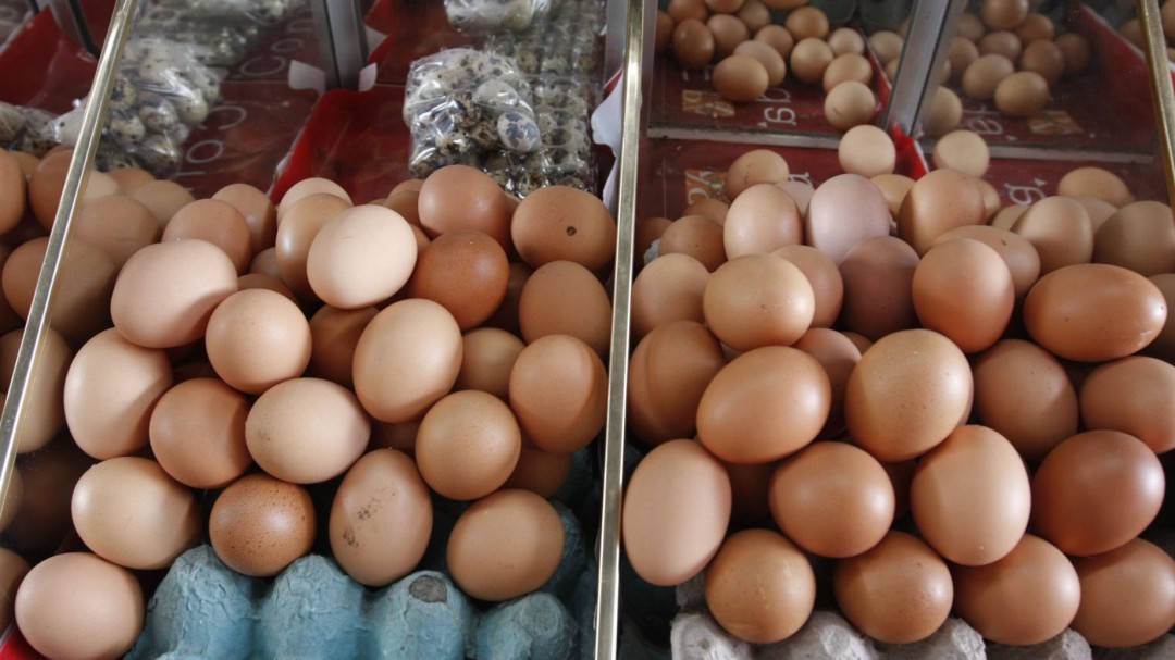 Cada colombiano consume 36 kilos de pollo y 303 huevos por año