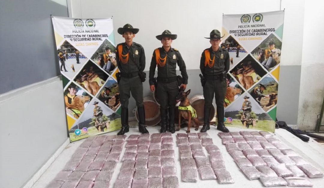 Incautan drogas: Policía de Barranquilla incautó 59 kilos de marihuana en la Vía 40