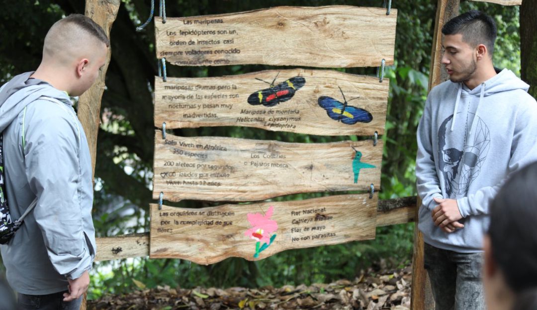 sena; discapacidad; formacion; inclusion: Jóvenes con capacidades diferentes crearon sendero ecológico