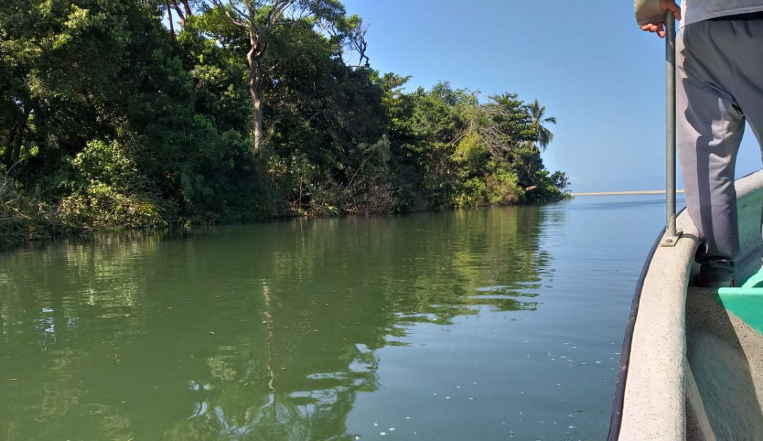 Mar de leva causa bonanza de peces en el río Buritaca